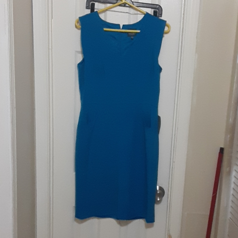Adrianna papell dress